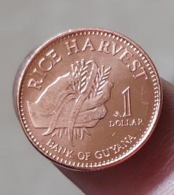 圭亚那1元纪念币 硬币约17mm 钱币收藏