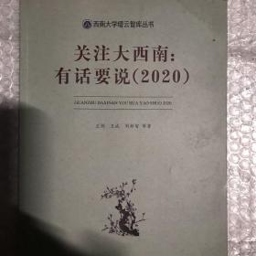 关注大西南：有话要说2020