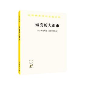 嬗变的大都市：关于城市的概念