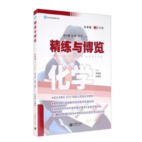 核心素养教育丛书精练与博览化学九年级第二学期