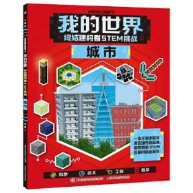 我的世界 终结建构者STEM挑战 城市