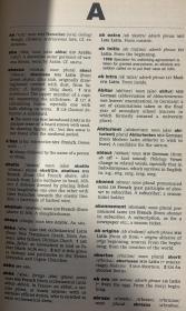 Dictionary of Foreign Words and Phrases 牛津外来语和短语词典 （ 包括40多种语言的8000多词汇和短语成语）布面精装 书脊烫金 带护封