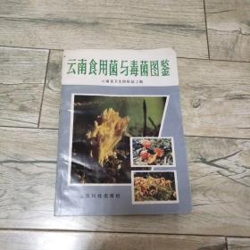 云南食用菌与毒菌图鉴