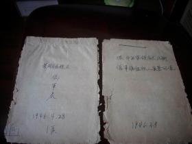 冀南革命老区-1946年振华县【伪军伪组织登记表】10张！