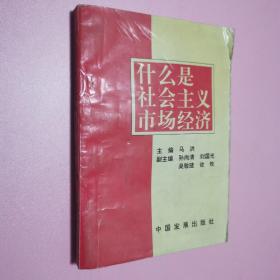 什么是社会主义市场经济？