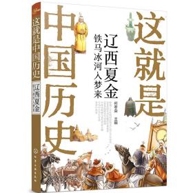 这就是中国历史——辽西夏金：铁马冰河入梦来