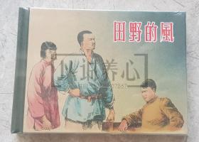 田野的风 上美  50开  小精装 小精 精装 精  连环画  小人书  宋治平 轻微斑点  原封  上海  上海人美 上海人民美术出版社  品相如图 按图发书