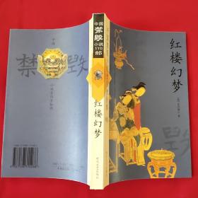 中国禁毁小说110部：红楼幻梦