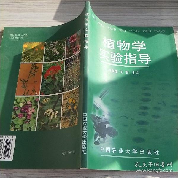 植物学实验指导