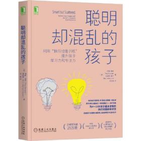 聪明却混乱的孩子:利用“执行技能训练”提成学习力和专注力