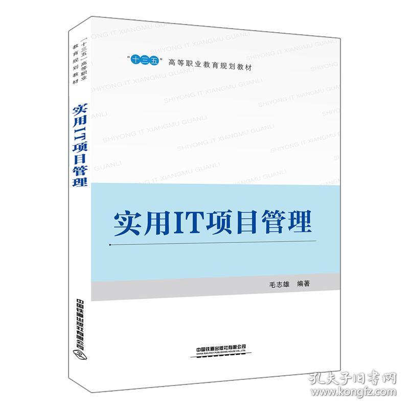 二手正版实用IT项目管理 毛志雄 中国铁道出版社