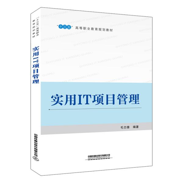 二手正版实用IT项目管理 毛志雄 中国铁道出版社