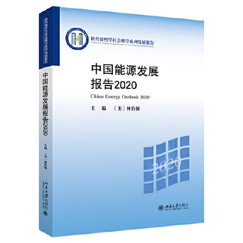 中国能源发展报告2020