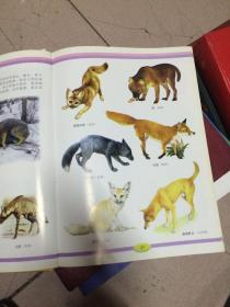 世界动物大图集