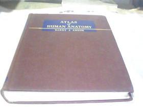人类解剖学地图集    AN ATLAS OS HUMAN ANATOMY