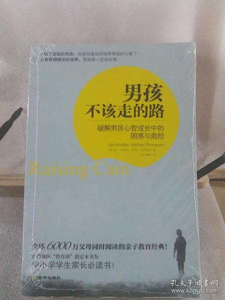 男孩不该走的路：破解男孩心智成长中的困惑与危险