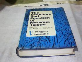 神经组织的结构和功能  The Struture ahd Fuion of NerVous tissue