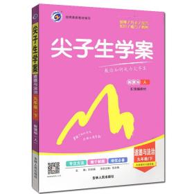 梓耕书系尖子生学案初中政治人教版9年级下册2023春  (d)