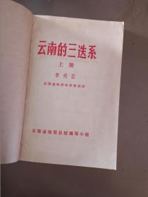 云南的三迭系 上冊(cè)