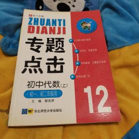 专题点击初中代数上12