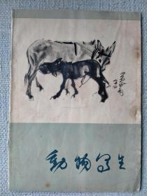 动物写生