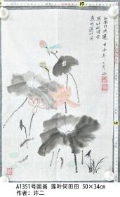 A1351号国画荷花 莲叶何田田 50×34cm 作者：许二