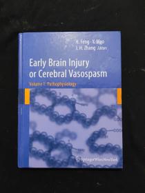 Early Brain lnjury or Cerebral Vasospasm