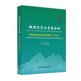 微弱经济与普惠金融——中国普惠金融发展报告(2020)