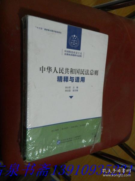 中华人民共和国民法总则 精释与适用