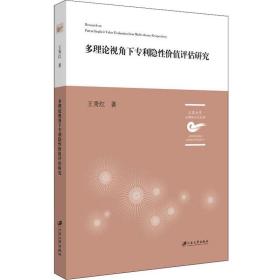 多理论视角下隐性价值评估研究