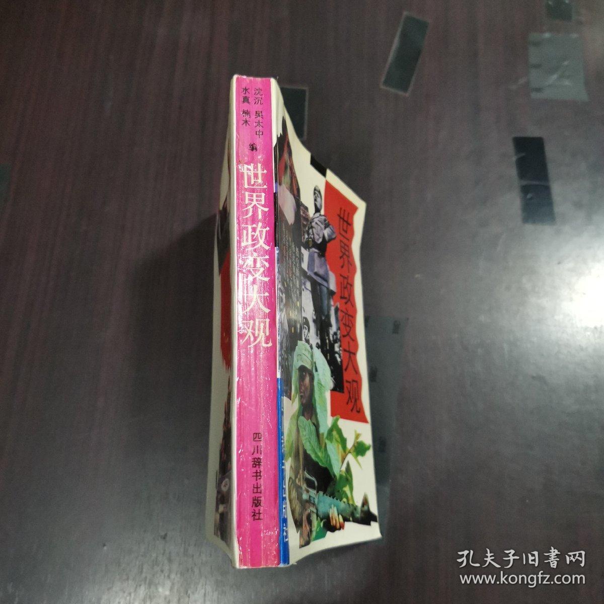 世界政变大观