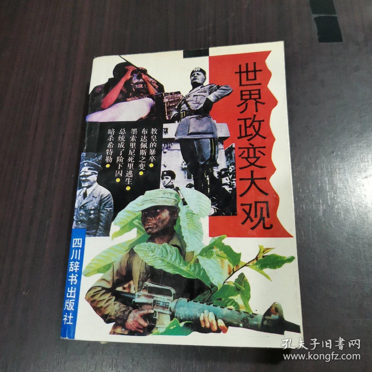 世界政变大观