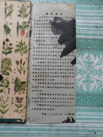 植物图鑑    折叠版，民国二十九年十月出版    注意图片折叠处残缺破损