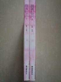 微雨红尘（上下）