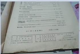 红旗1981年13,16,19--24期
