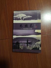 卷花旗一洞庭湖杨么传奇