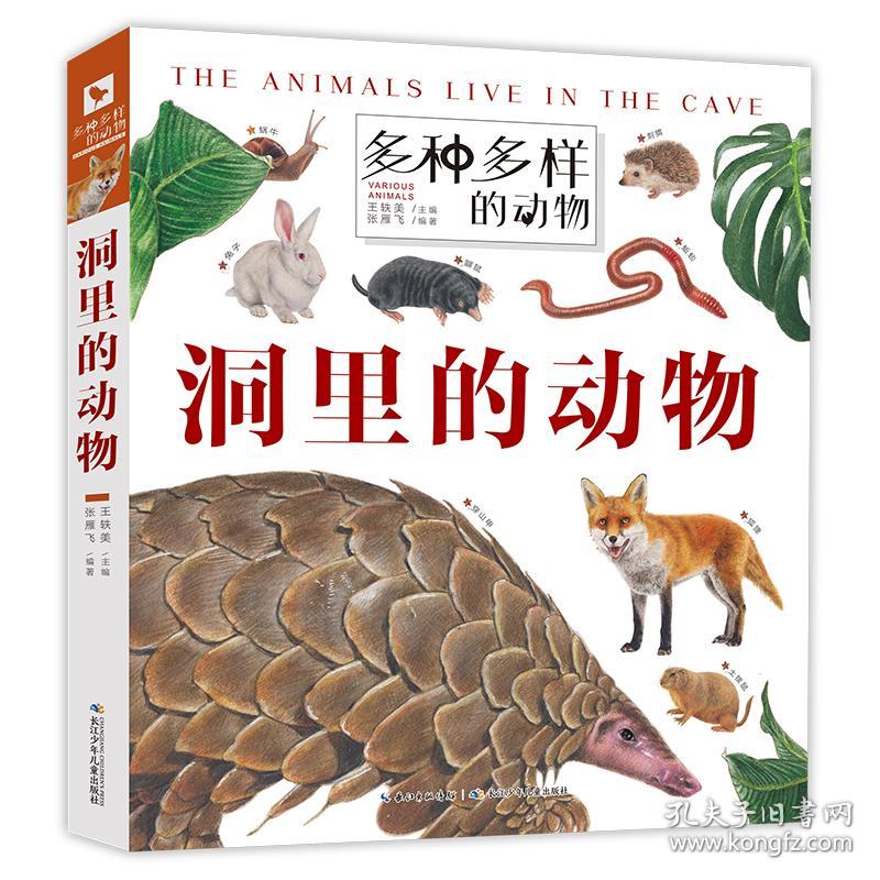 多种多样的动物·洞里的动物一套孩子爱不释手的动物翻翻书