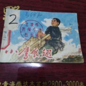 小鹰展翅
