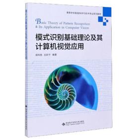 模式识别基础理论及其计算机视觉应用