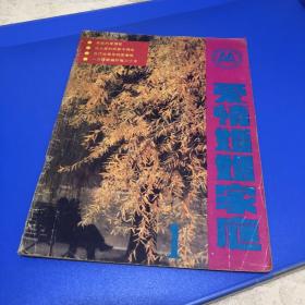 爱情婚姻家庭1985创刊号