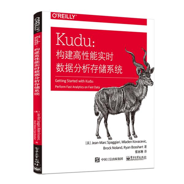 Kudu：构建高性能实时数据分析存储系统(博文视点出品)