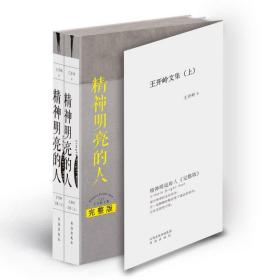 精神明亮的人：王开岭文集.完整版 上下册