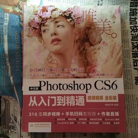 中文版Photoshop CS6从入门到精通（微课视频 全彩版）