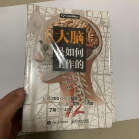 大脑是如何工作的