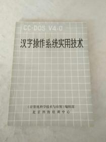 汉字操作系统实用技术