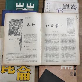 文学小说期刊杂志：昆仑，共17本。1982年第3.期，1983年第1-5期，1984年第2.4.5.6期.增刊一本，1985年第1.3期.1987.1期，增刊2本.1989年第6期书脊略有磕碰，有点水印，见照片，但都不影响阅读。