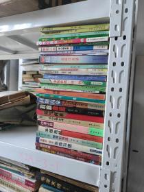 席绢 怪丫头  独自去偷欢  浪漫一生又何妨 吻上你的心 4本合售