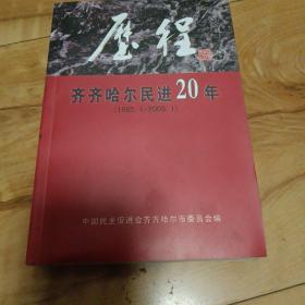 历程，齐齐哈尔民进20年。