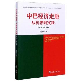 中巴经济走廊：从构想到实践2013-2018年/河北师范大学巴基斯坦研究中心丛书