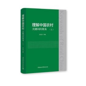 理解中国农村关键词的视角（全2册）